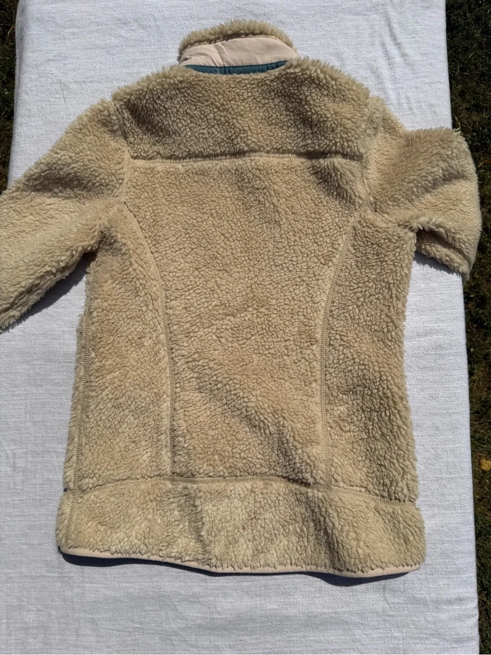 Patagonia perfect back